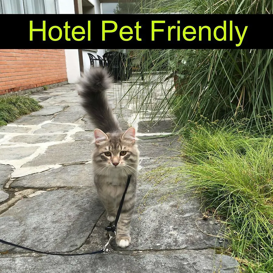 Hotel Raffaelli Villa Angela Forte dei Marmi